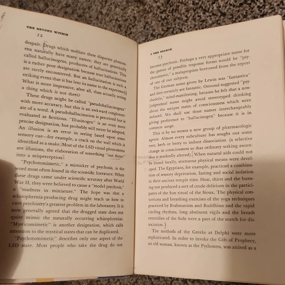 The Beyond Within The LSD Story - Picture 6 of 6